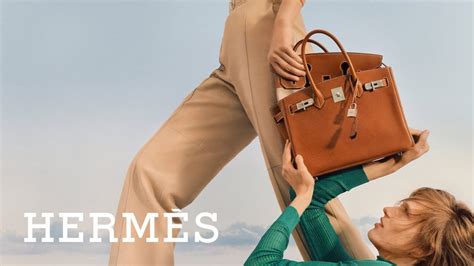 hermès vs meta birkin|metabirkins hermes lawsuit.